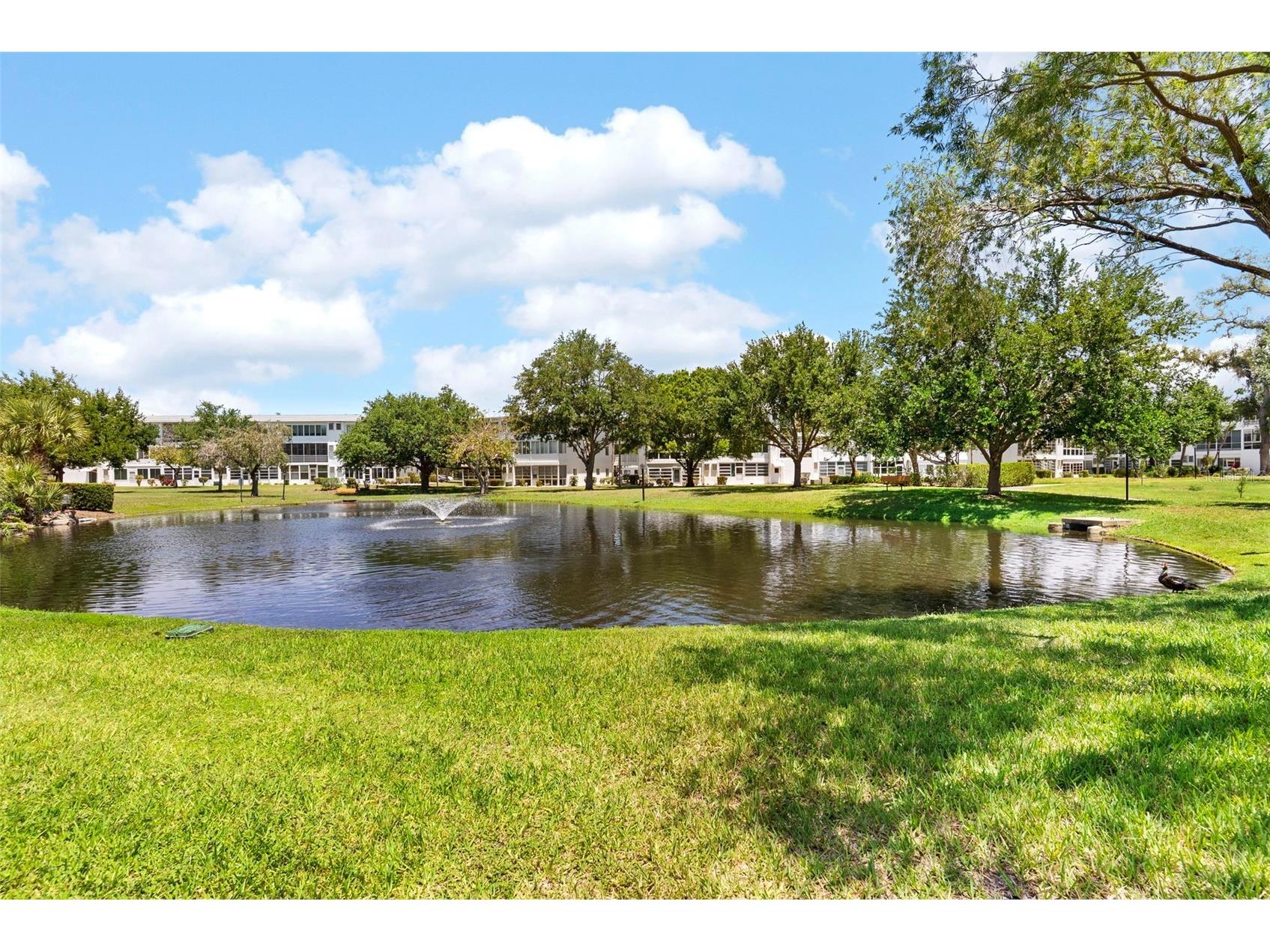 11201 80th Avenue #305 Seminole FL 33772 TB8505352 image18