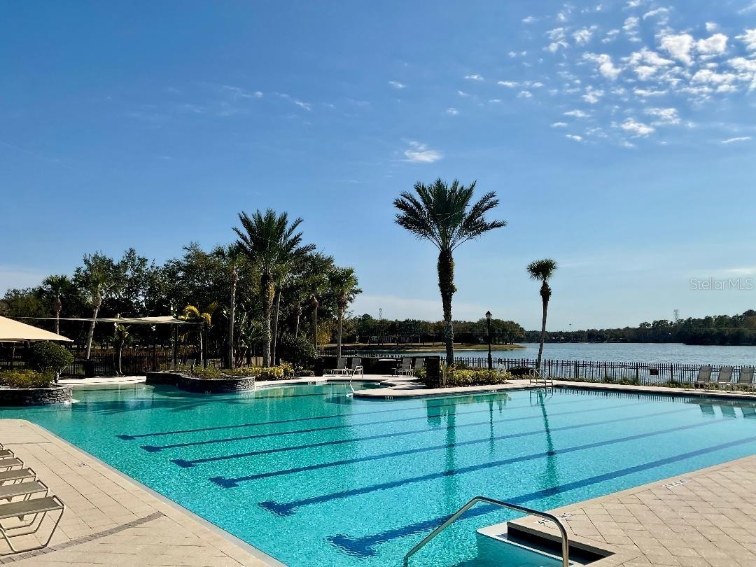 11201 Green Park Circle Tampa FL 33626 TB8476954 image35