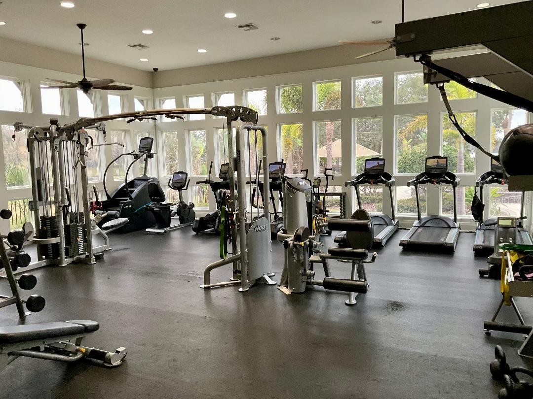 11201 Green Park Circle Tampa FL 33626 TB8476954 image38