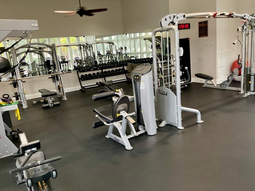 11201 Green Park Circle Tampa FL 33626 TB8476954 image40