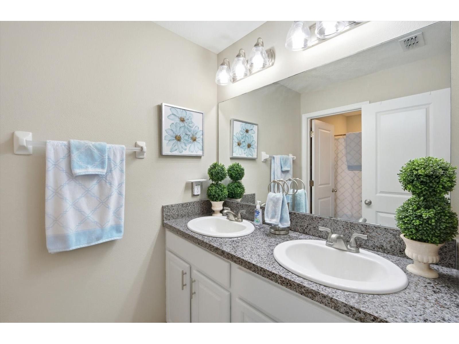 11201 Leland Groves Drive Riverview FL 33579 TB8478379 image24