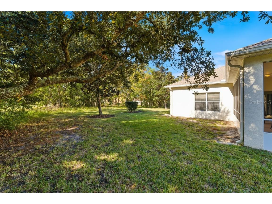 11201 Valley Stream Court Spring Hill FL 34609 W7880887 image21