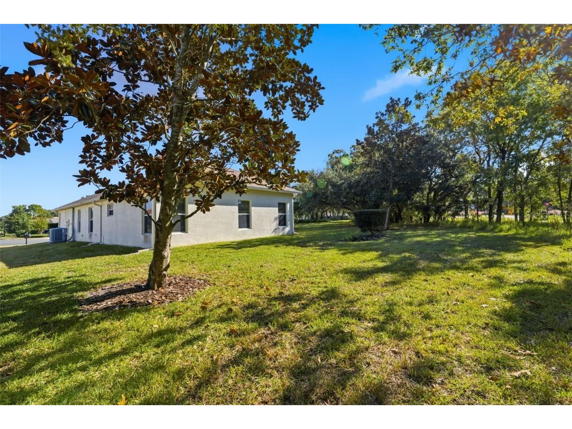 11201 Valley Stream Court Spring Hill FL 34609 W7880887 image23