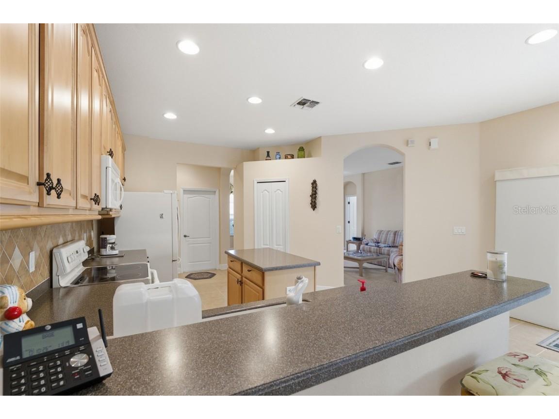 11201 Valley Stream Court Spring Hill FL 34609 W7880887 image38