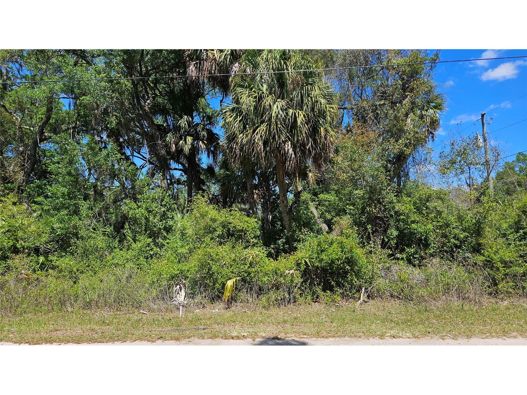 11201 W Gem Street Crystal River FL 34428 OM722003 image2