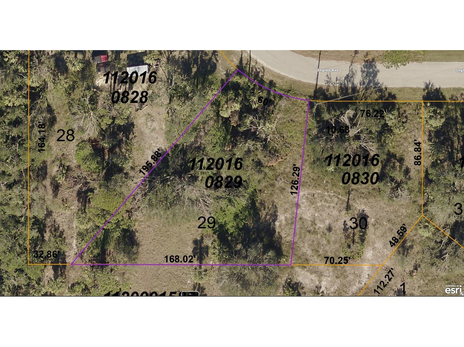 1120160829 Ingles Avenue North Port FL 34288 A4697251 image1