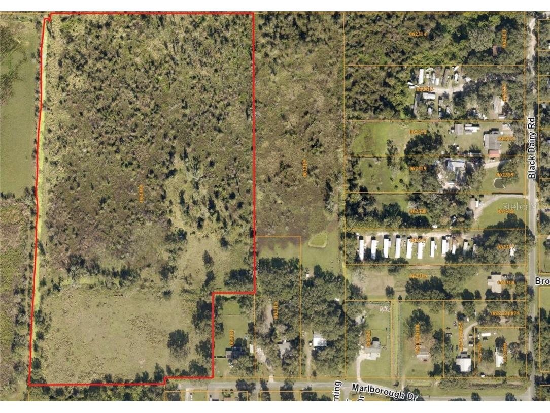 11202 Marlborough Drive Seffner FL 33584 T3426244 image1