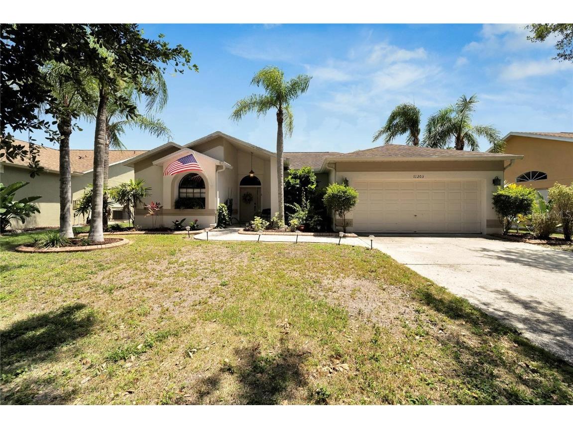 11203 Longbrooke Drive Riverview FL 33579 T3450875 image1