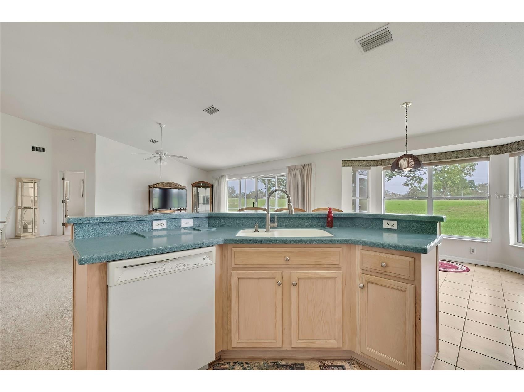 11203 Sun Tree Road Hudson FL 34667 TB8495718 image15