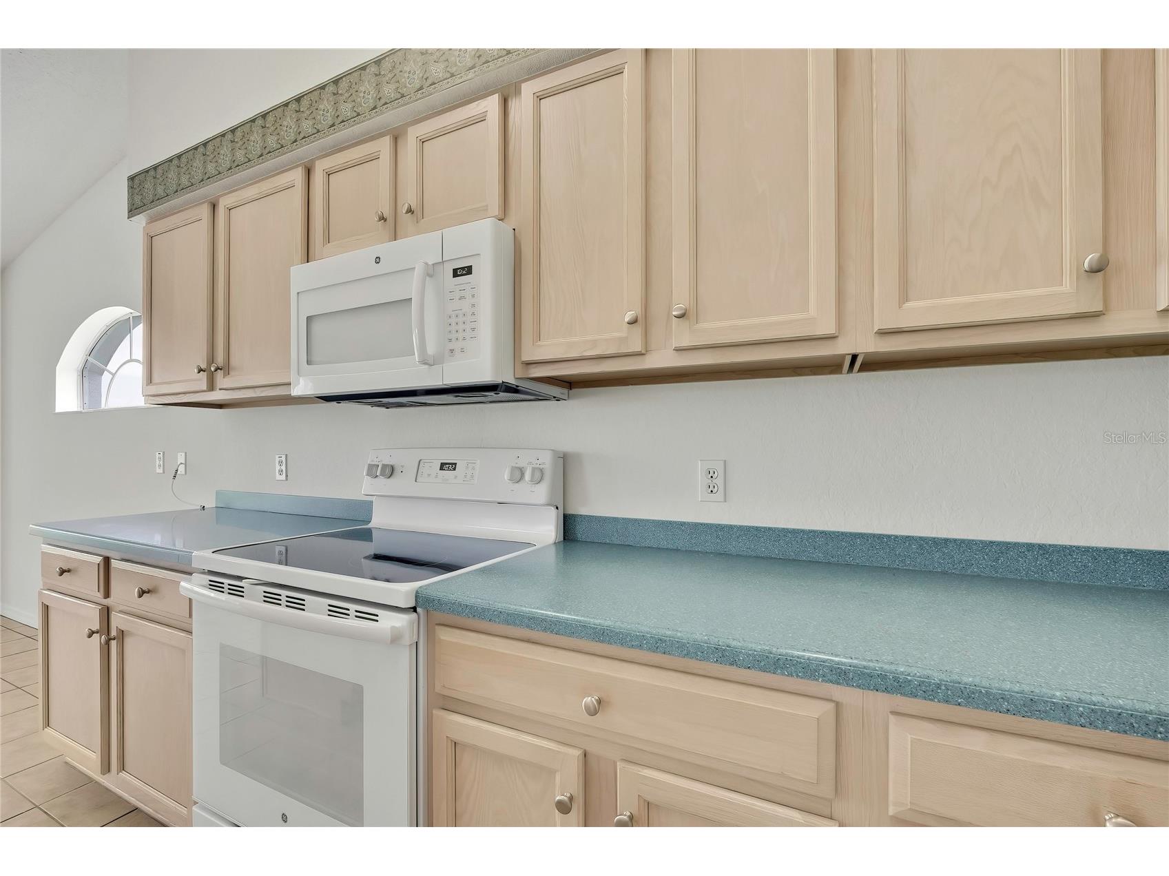 11203 Sun Tree Road Hudson FL 34667 TB8495718 image16