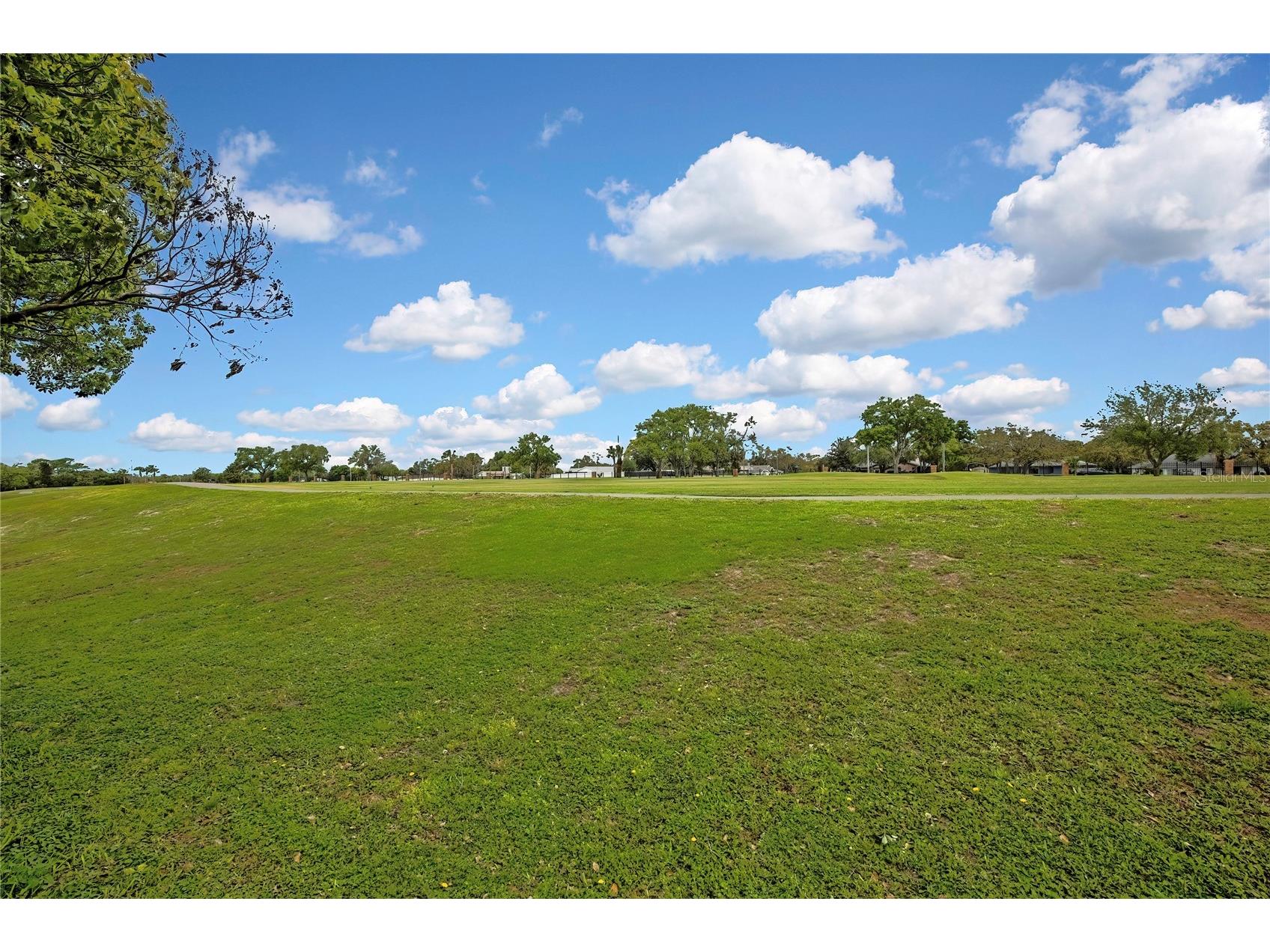 11203 Sun Tree Road Hudson FL 34667 TB8495718 image42