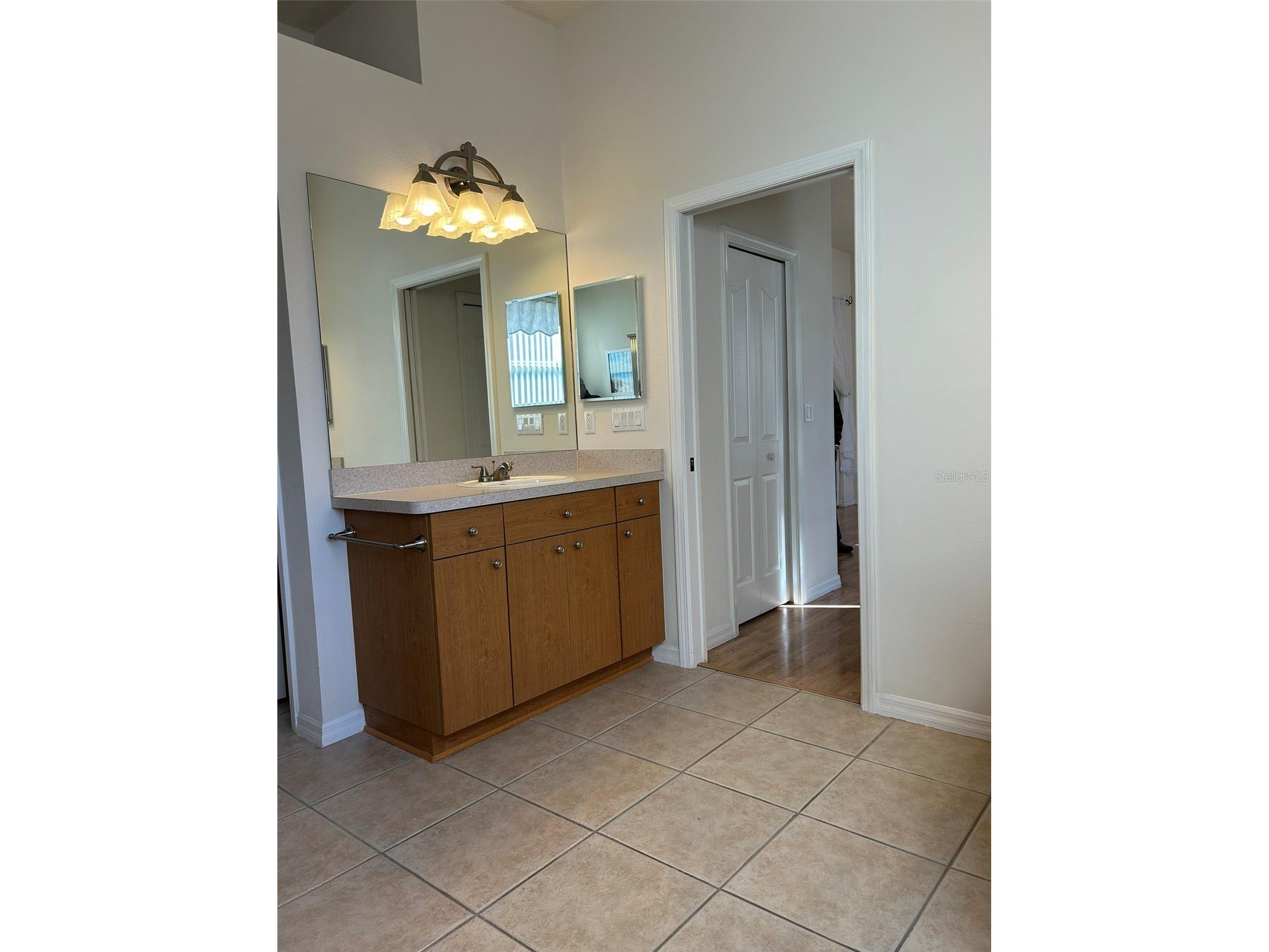 11204 Clear Oak Circle New Port Richey FL 34654 TB8460884 image17