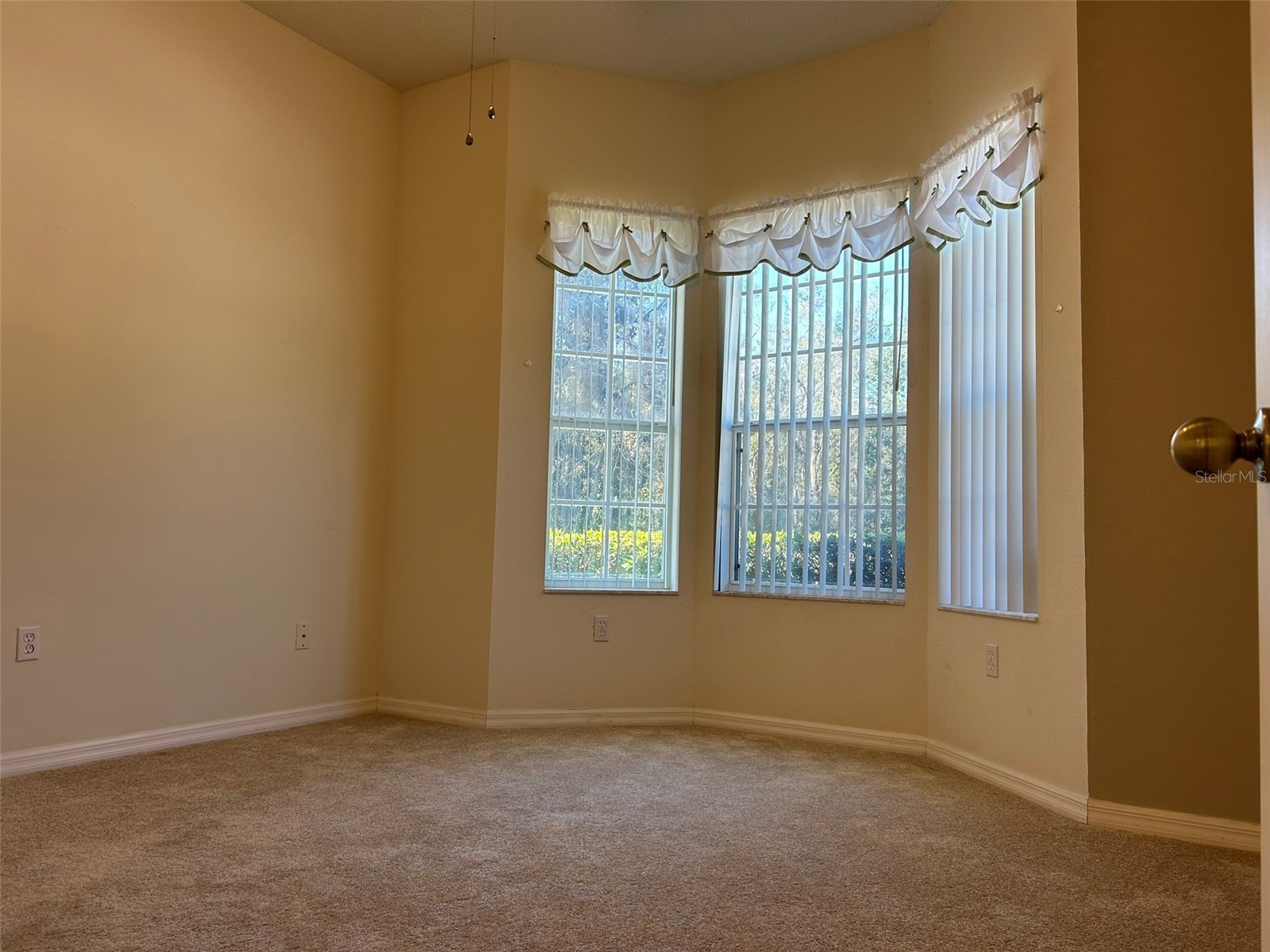 11204 Clear Oak Circle New Port Richey FL 34654 TB8460884 image19