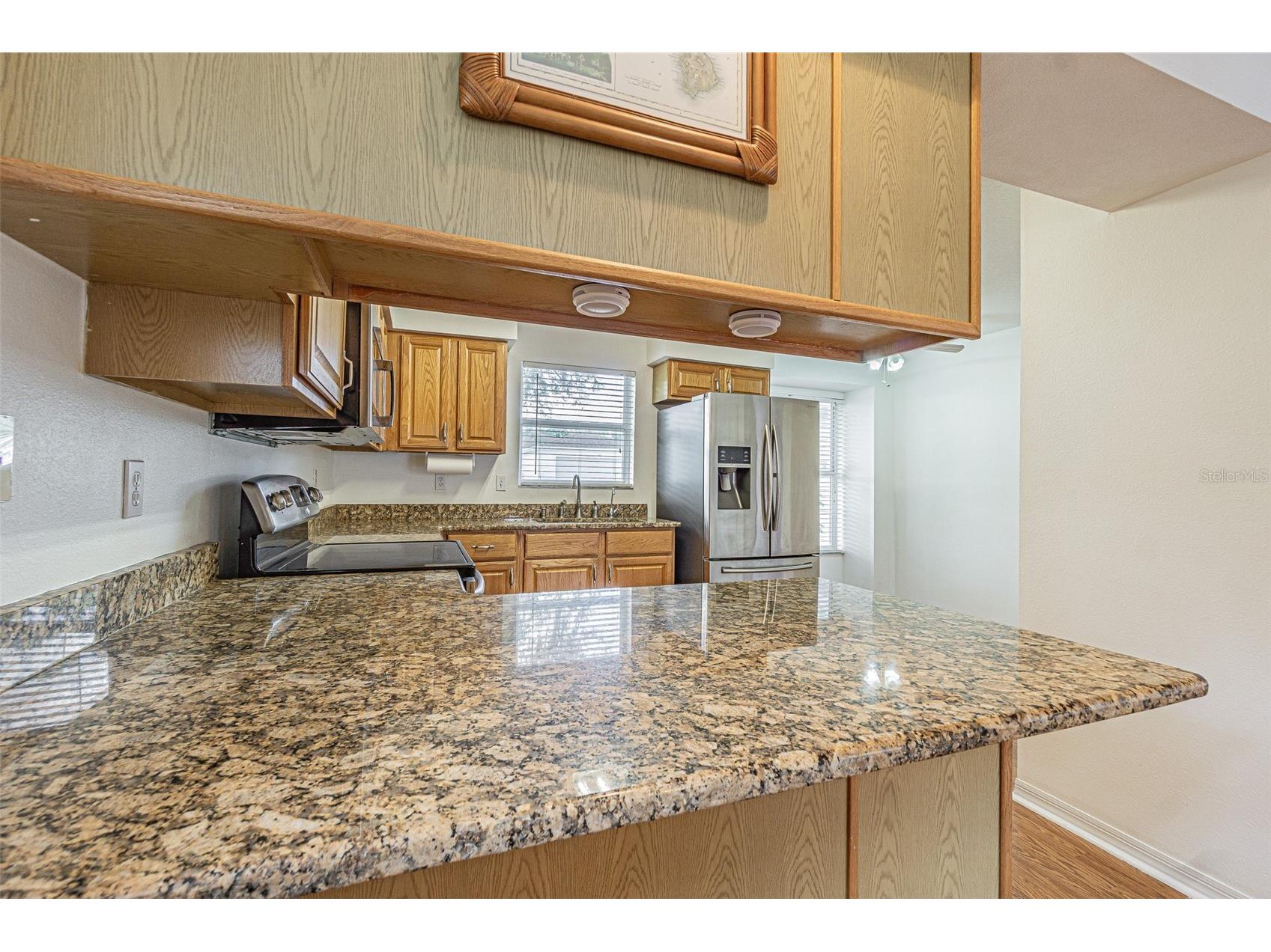 11204 Corey Pavin Lane San Antonio FL 33576 TB8492493 image19