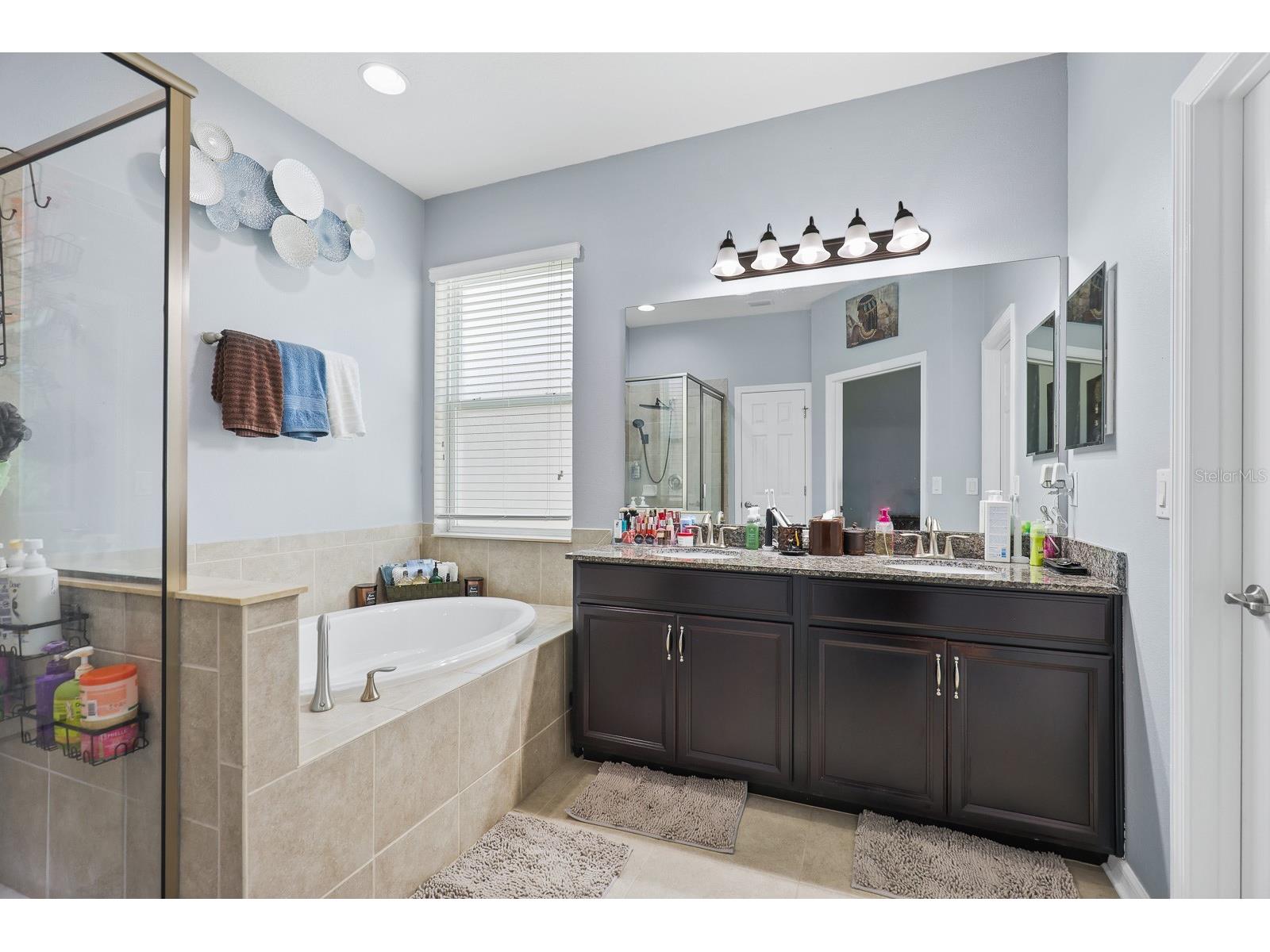 11204 Coventry Grove Circle Lithia FL 33547 TB8488331 image22