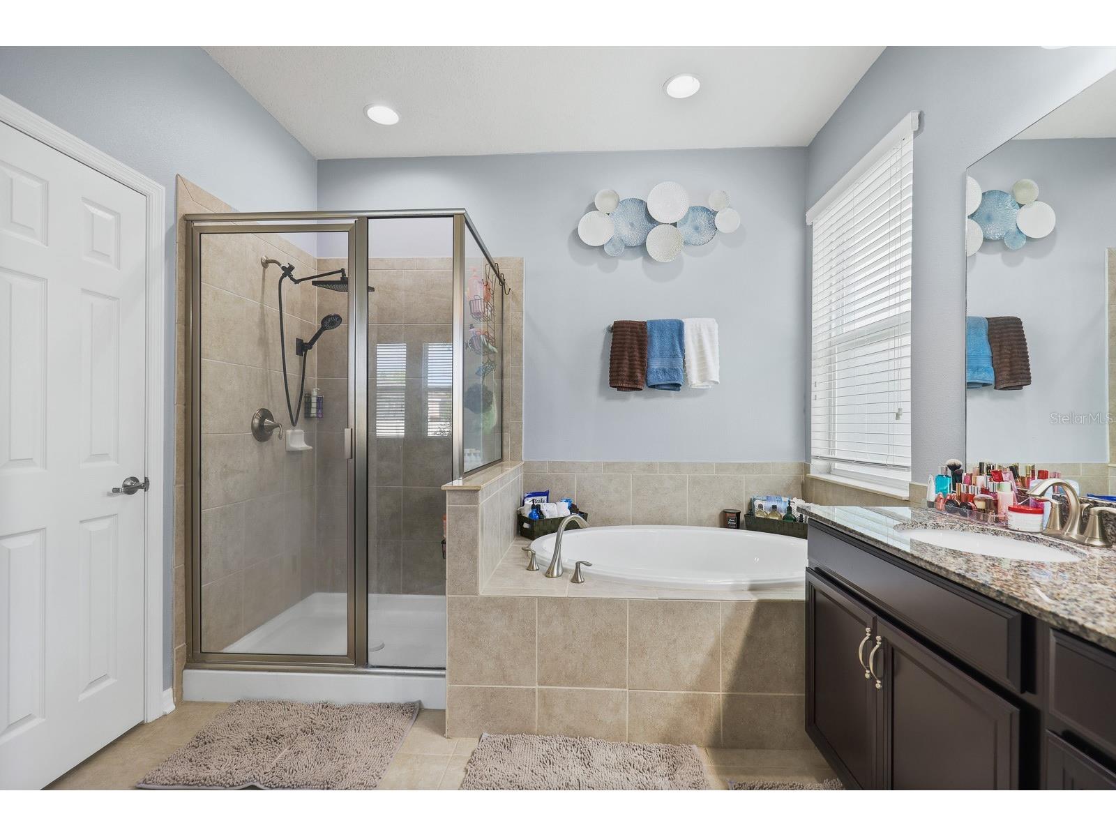 11204 Coventry Grove Circle Lithia FL 33547 TB8488331 image23