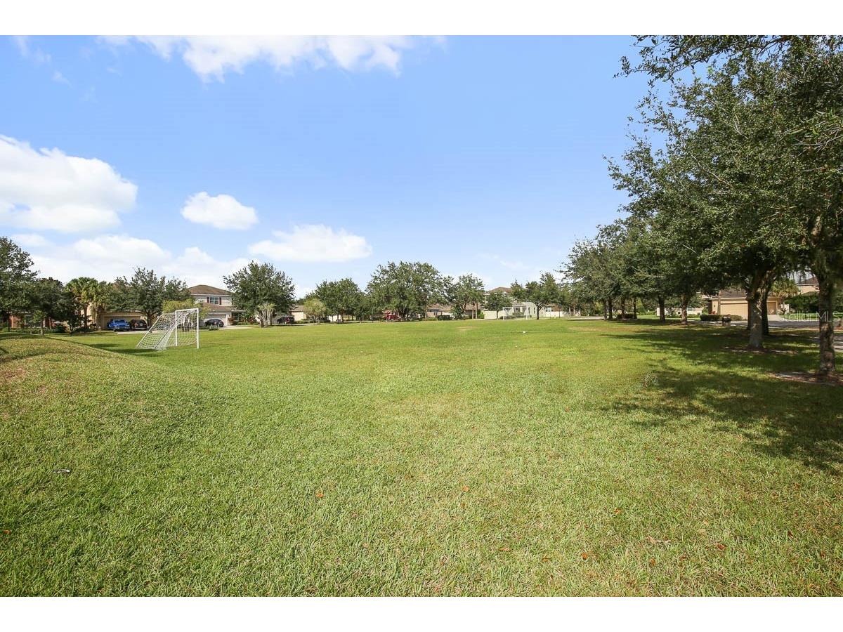 11204 Coventry Grove Circle Lithia FL 33547 TB8488331 image31