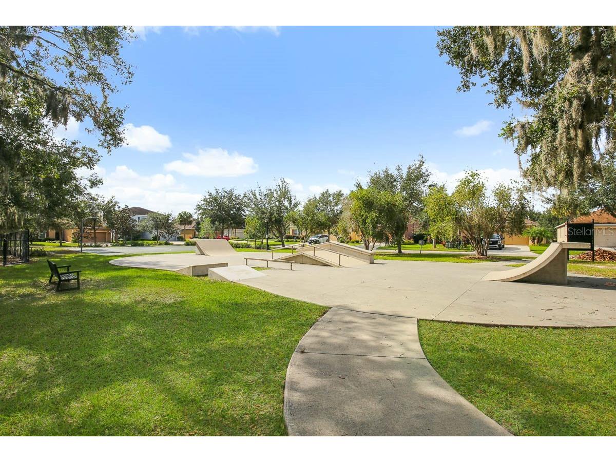 11204 Coventry Grove Circle Lithia FL 33547 TB8488331 image43