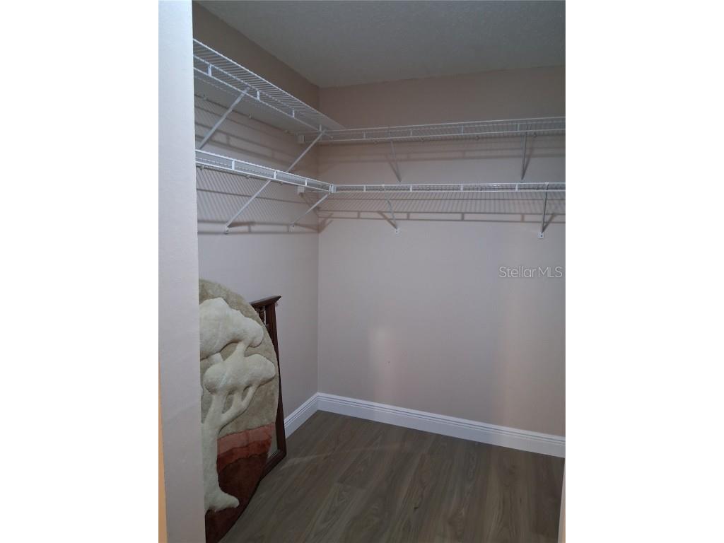 11204 Elmfield Drive Tampa FL 33625 W7879728 image16