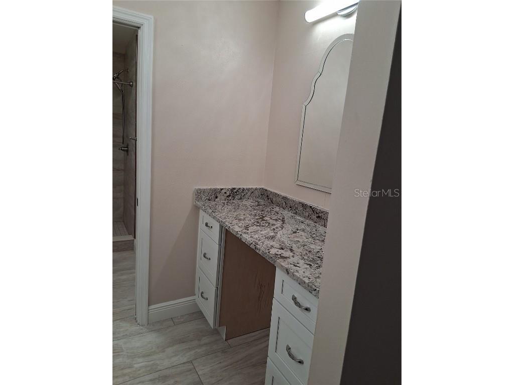 11204 Elmfield Drive Tampa FL 33625 W7879728 image19