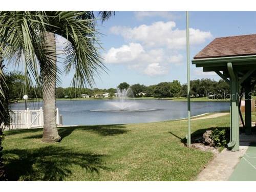 11204 Pembridge Court #4 Port Richey FL 34668 W7879974 image45