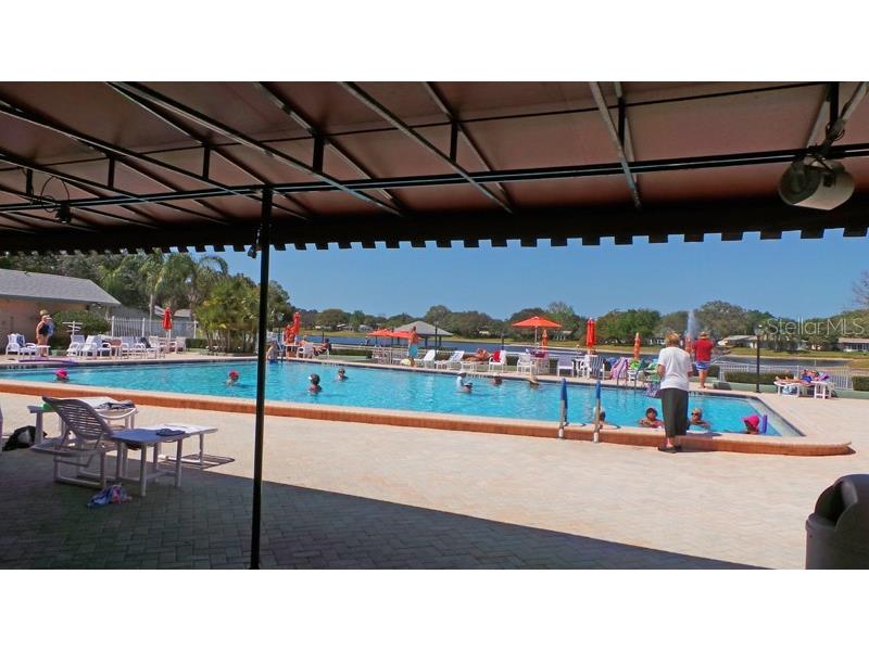 11204 Pembridge Court #4 Port Richey FL 34668 W7879974 image48