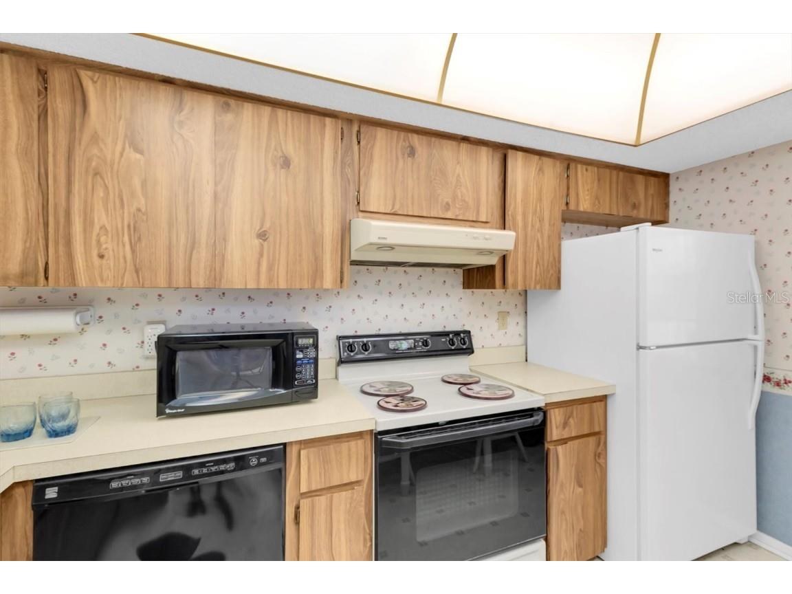 11204 Pembridge Court #4 Port Richey FL 34668 W7879974 image9