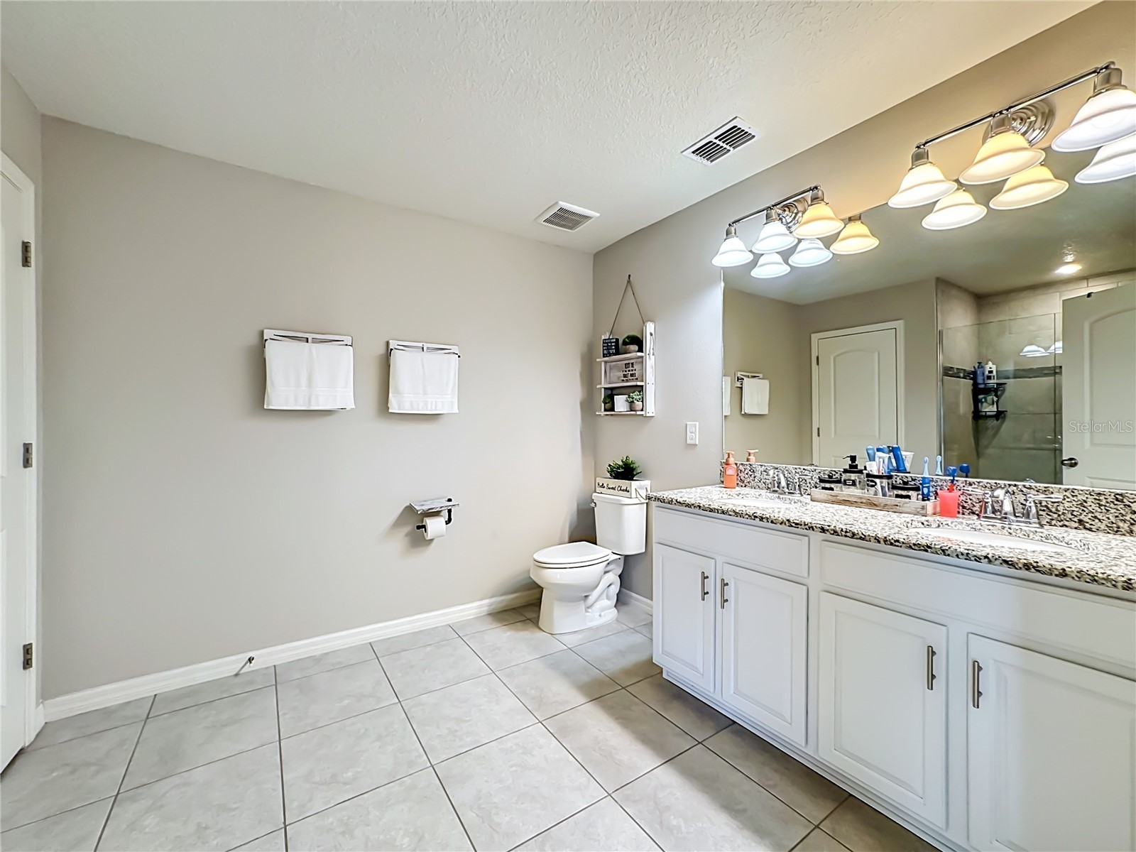 11205 Brighton Knoll Loop Riverview FL 33579 TB8508190 image31