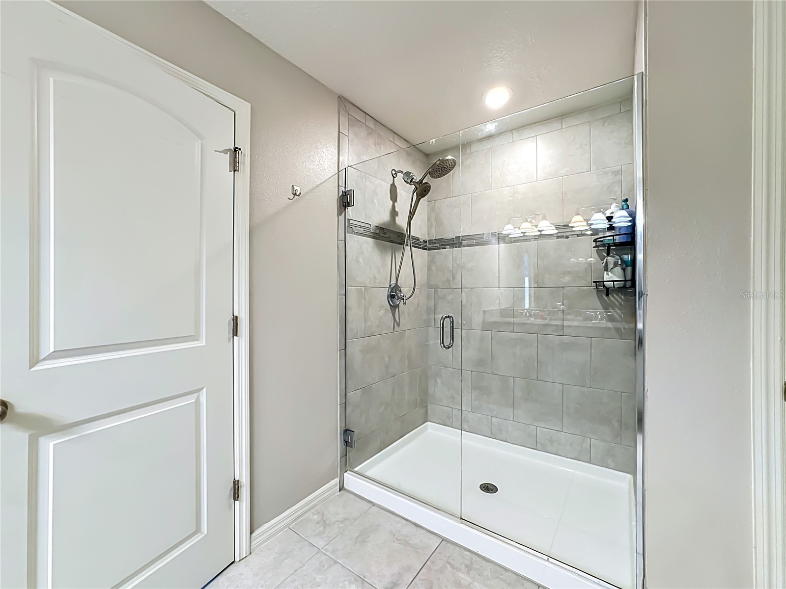 11205 Brighton Knoll Loop Riverview FL 33579 TB8508190 image32