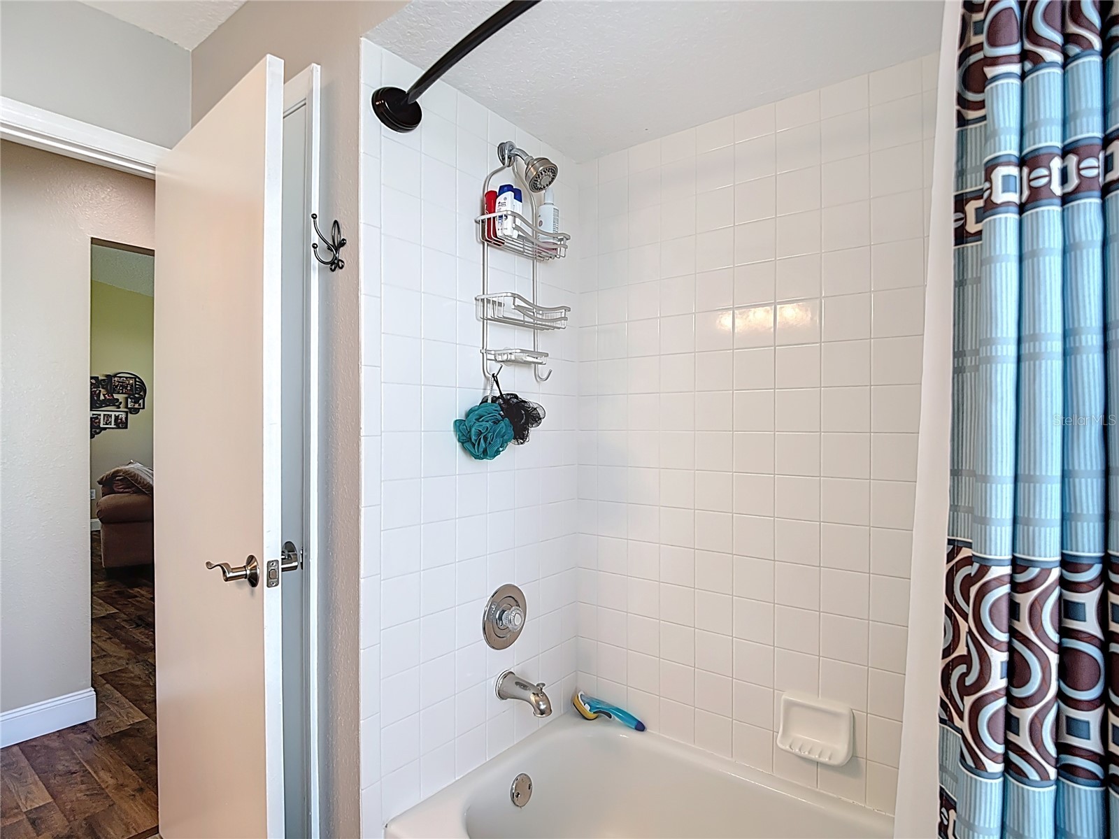11205 Corey Pavin Lane San Antonio FL 33576 TB8428138 image16