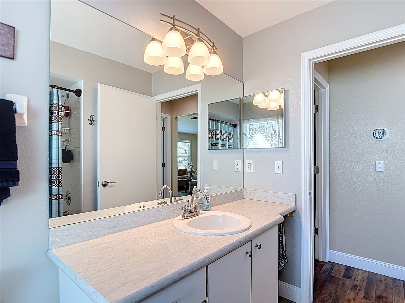 11205 Corey Pavin Lane San Antonio FL 33576 TB8428138 image31