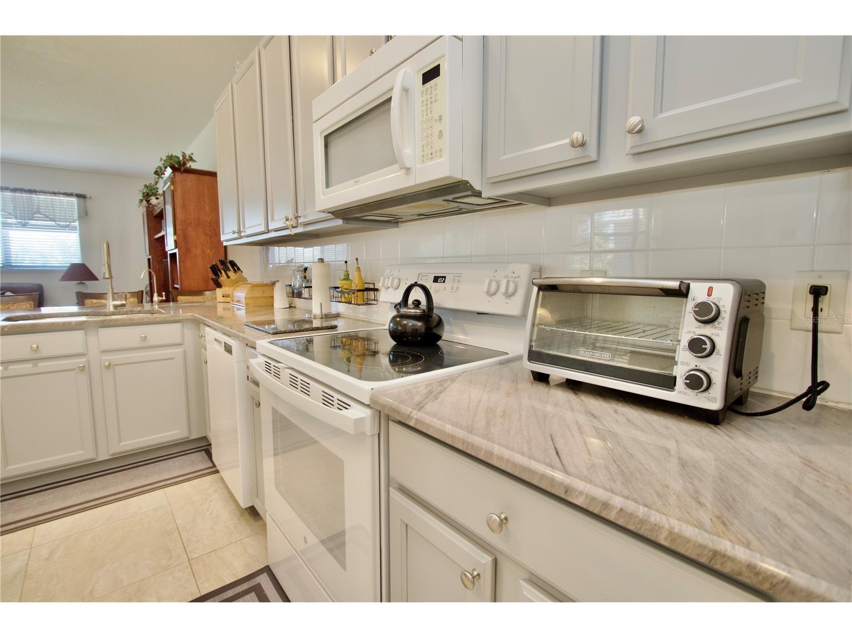 11205 Edge Park Drive Hudson FL 34667 W7886926 image15