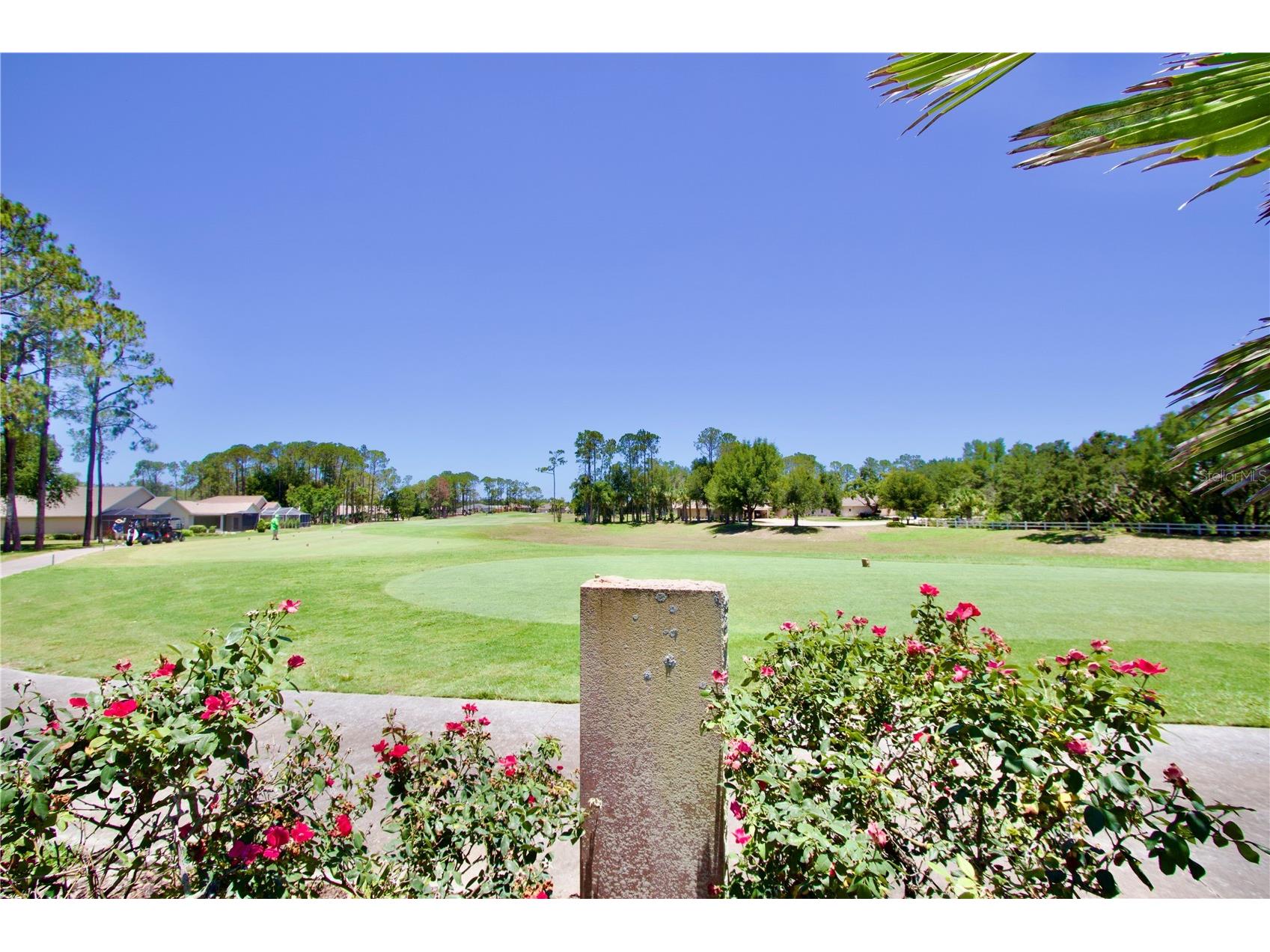 11205 Edge Park Drive Hudson FL 34667 W7886926 image37