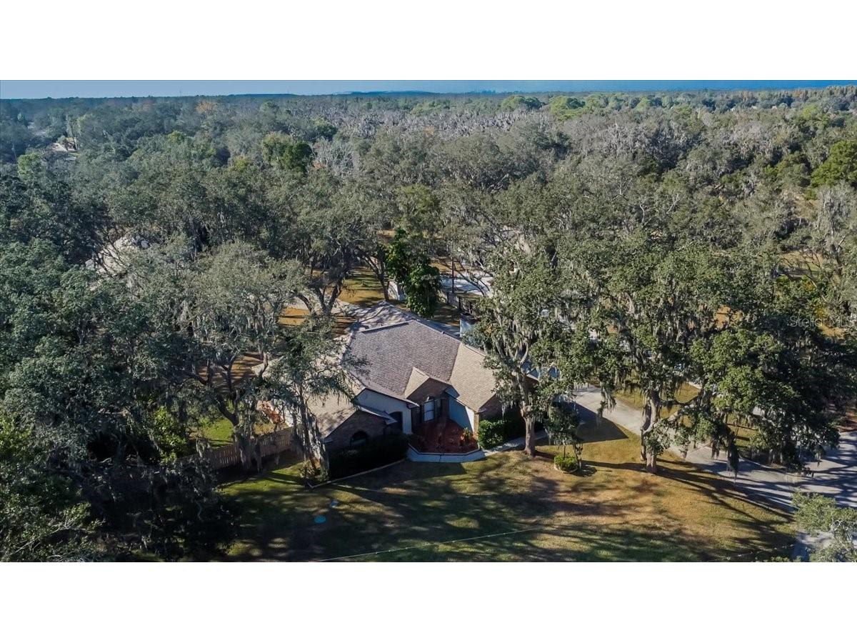 11205 Kerry Hills Court Riverview FL 33569 TB8451928 image69