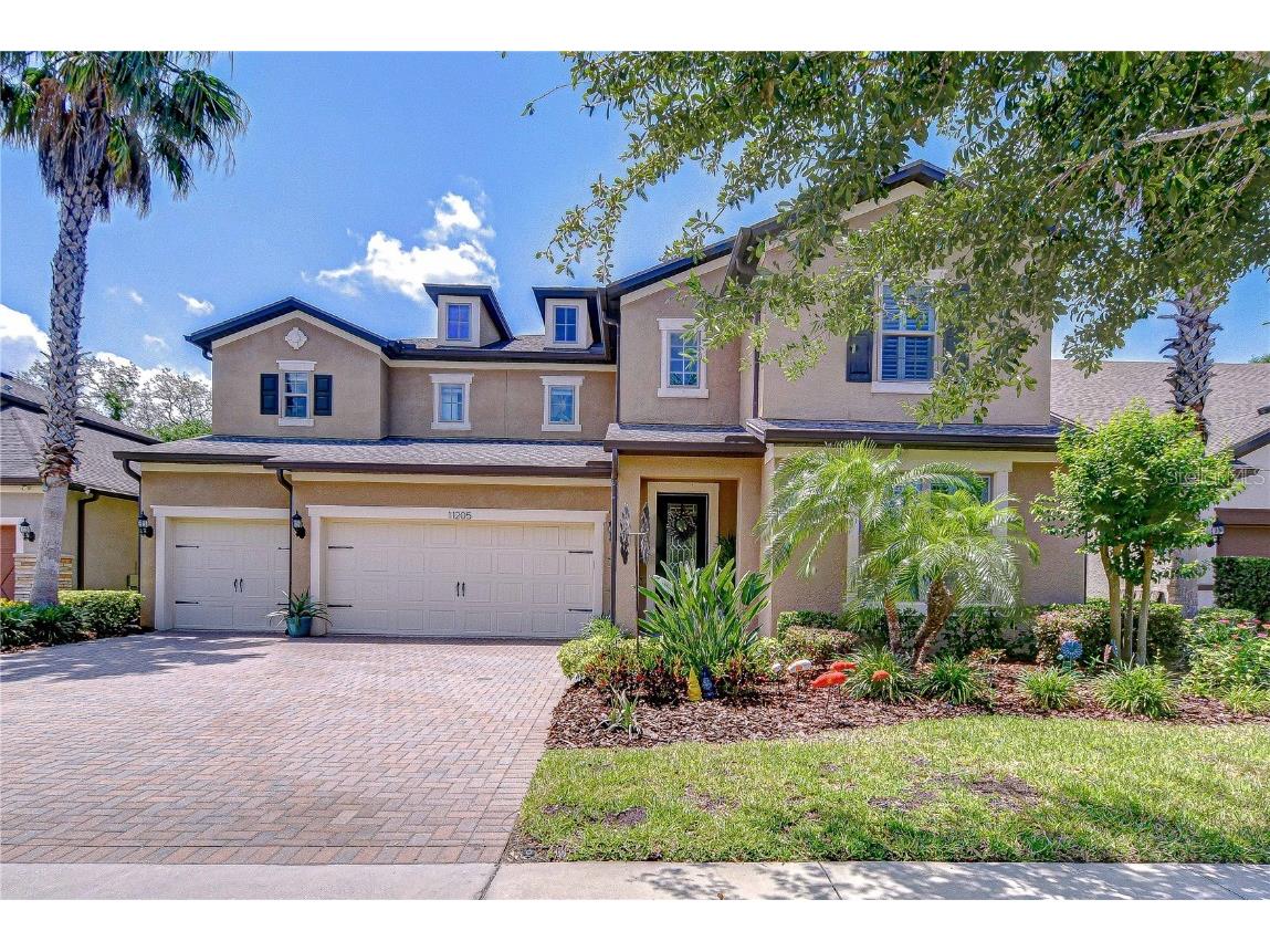 11205 Lark Landing Court Riverview FL 33569 TB8382342 image1