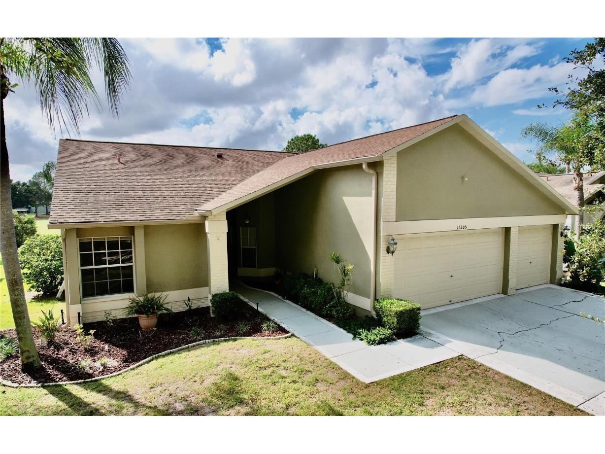 11205 Longbrooke Drive Riverview FL 33579 T3479806 image1