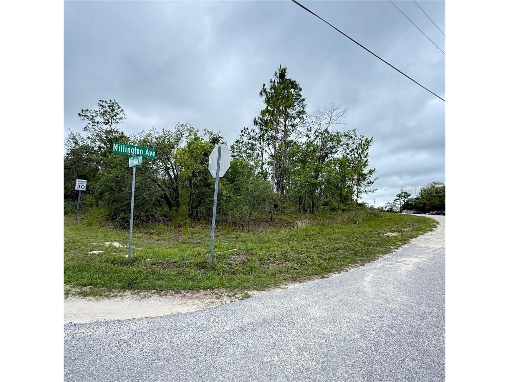 11205 Mountain Mockingbird Road Weeki Wachee FL 34614 TB8458188 image1