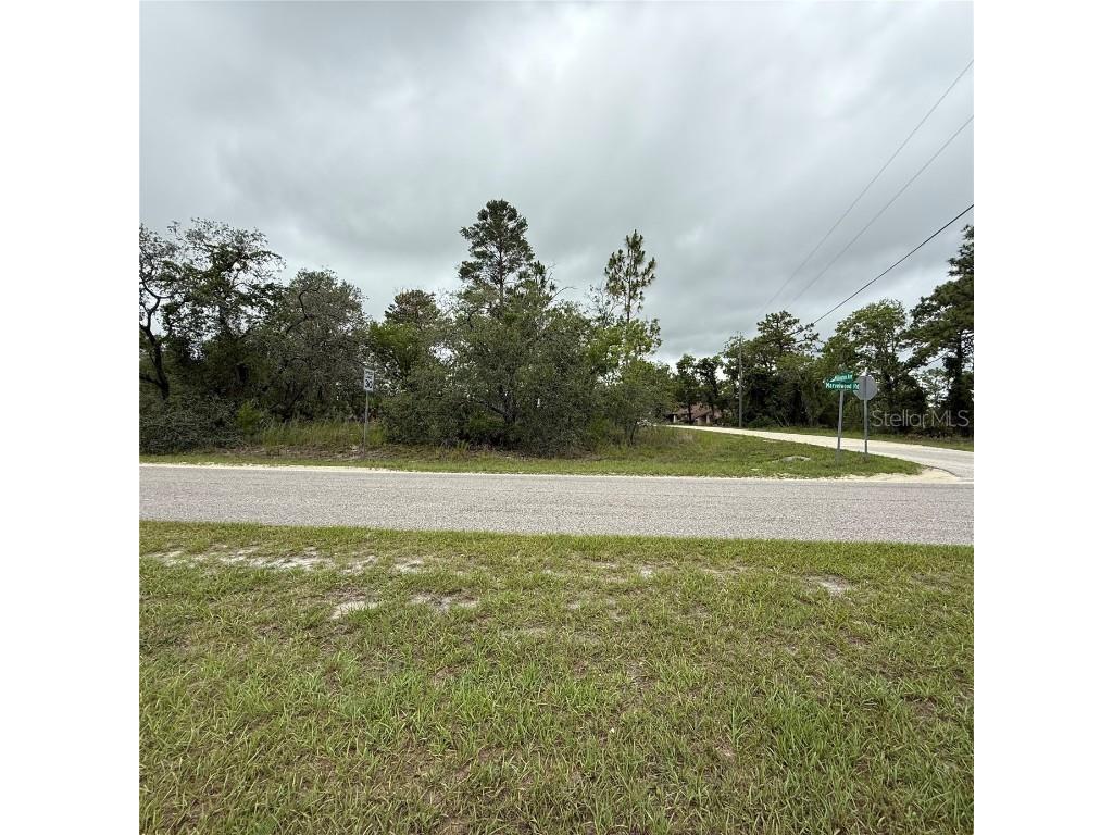 11205 Mountain Mockingbird Road Weeki Wachee FL 34614 TB8458188 image2