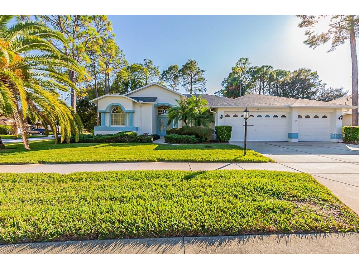 11206 Doxberry Court Hudson FL 34667 T3342989 image1