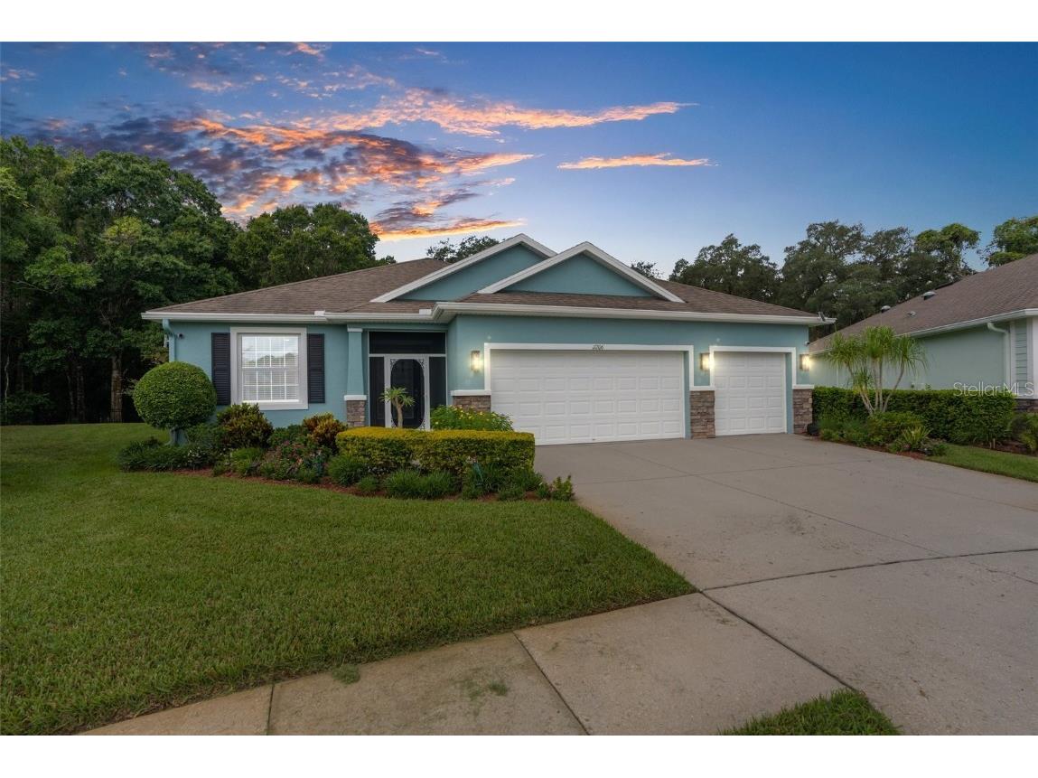 11206 Kiskadee Circle New Port Richey FL 34654 TB8336857 image1