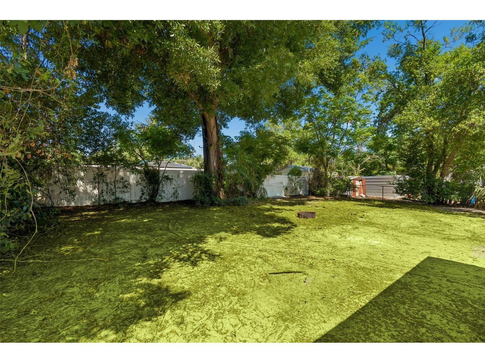 11206 N Arden Avenue Tampa FL 33612 TB8503477 image31