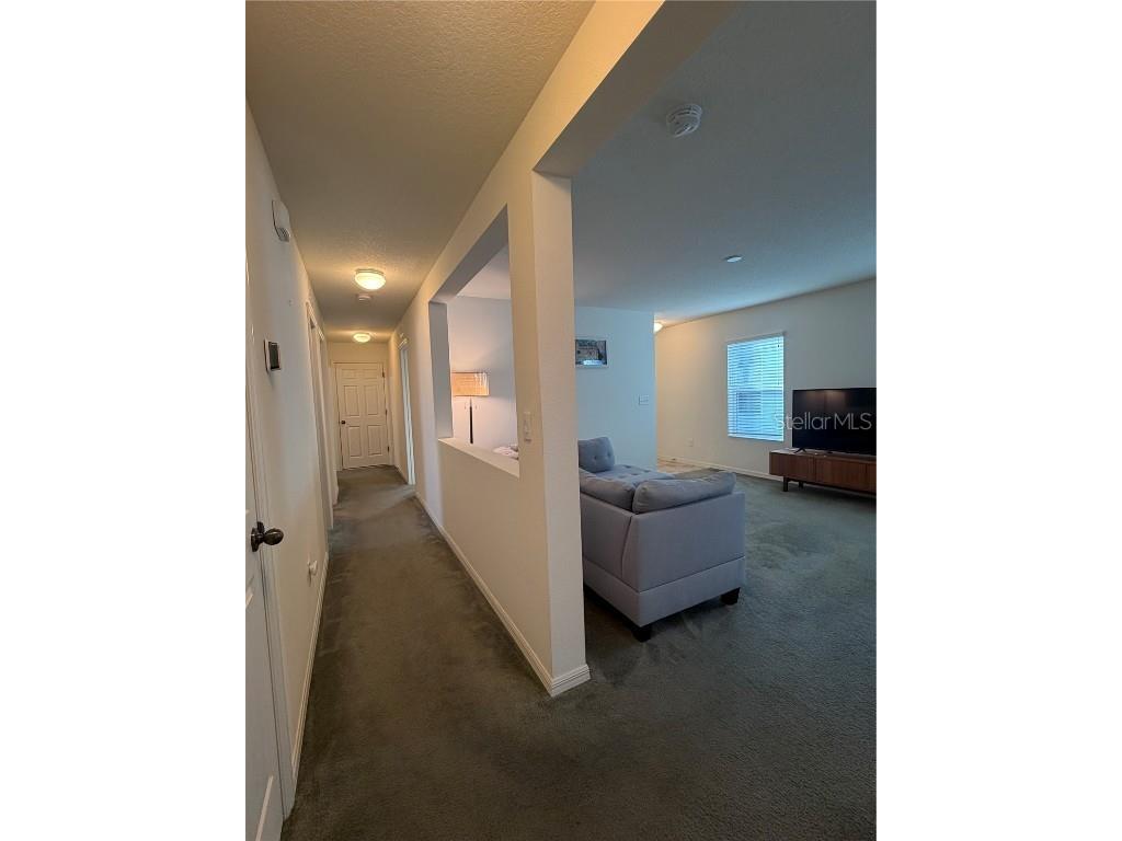 11207 Cardinal Point Place Gibsonton FL 33534 TB8443042 image10