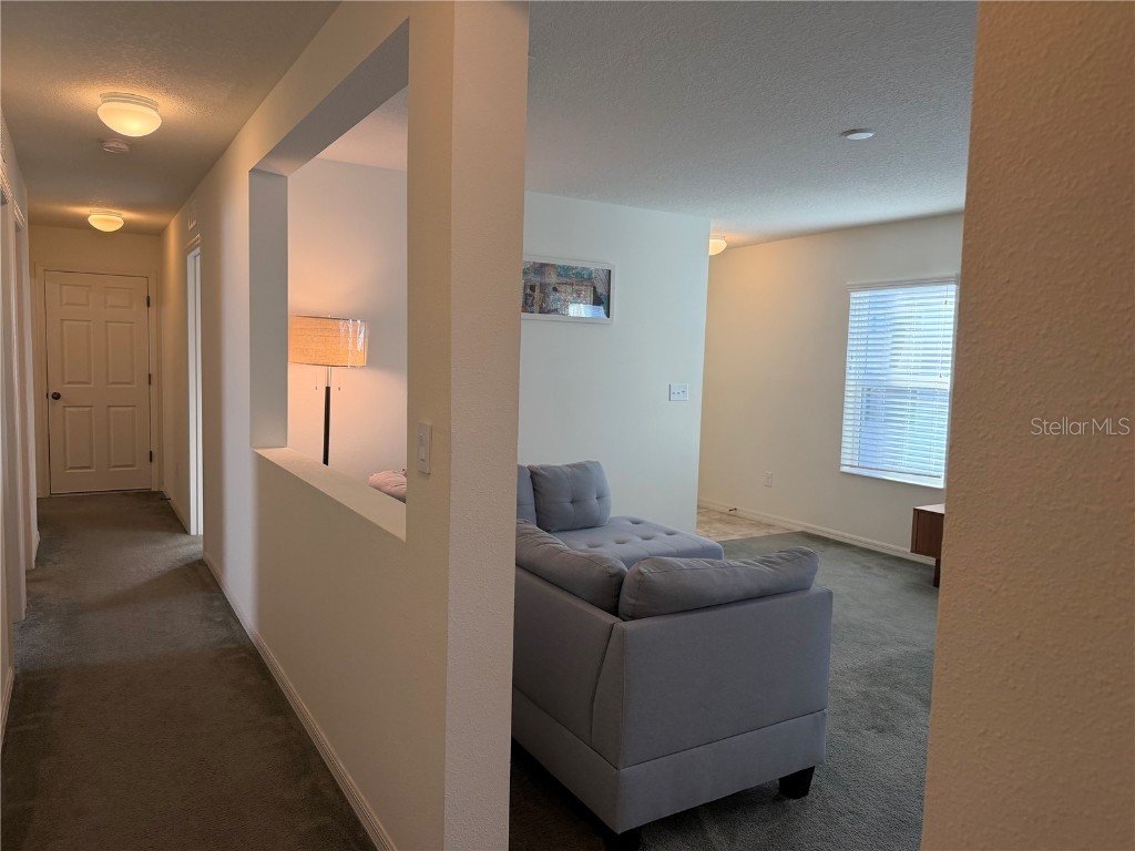 11207 Cardinal Point Place Gibsonton FL 33534 TB8443042 image7