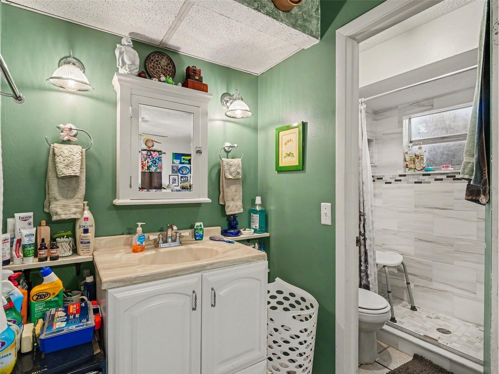 11207 Creekview Dr Riverview FL 33569 TB8505941 image22