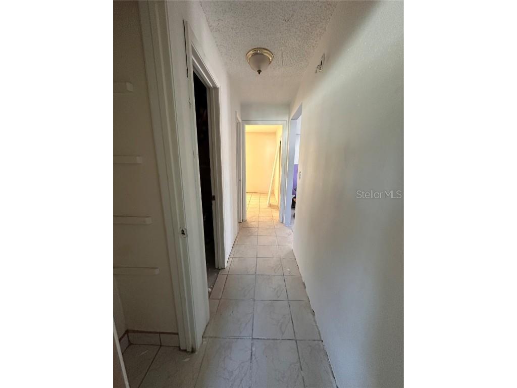 11207 Crossmill Drive Tampa FL 33625 TB8409816 image10