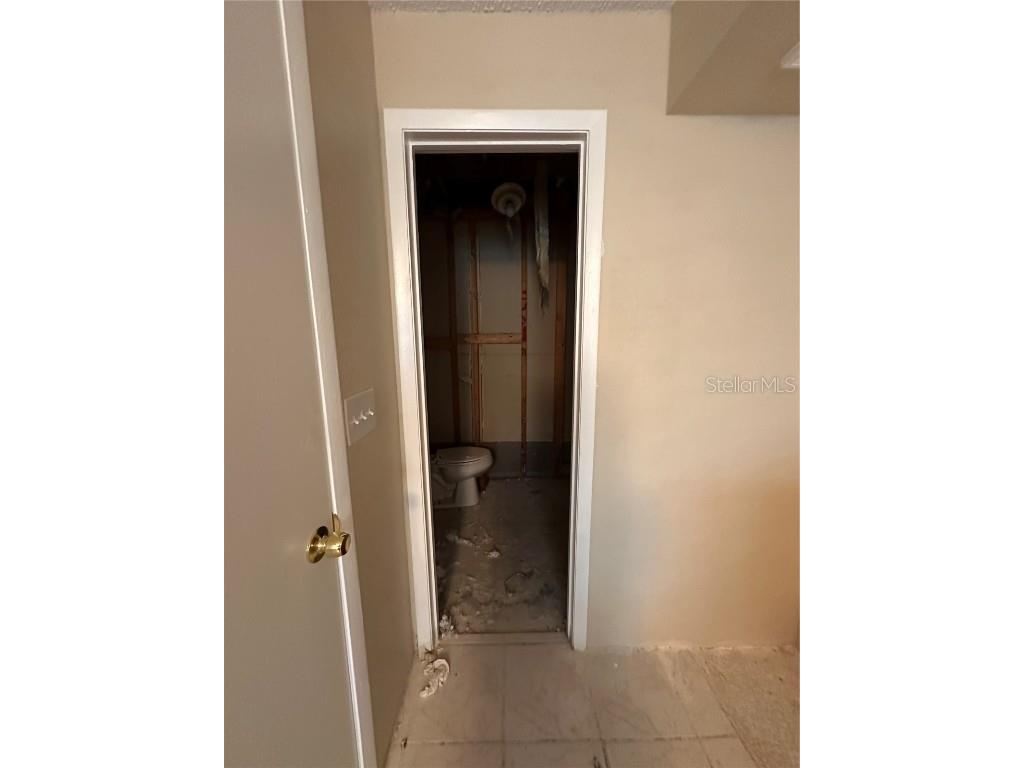 11207 Crossmill Drive Tampa FL 33625 TB8409816 image20