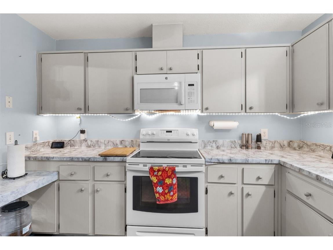 11207 Pinto Drive Hudson FL 34669 TB8432933 image10