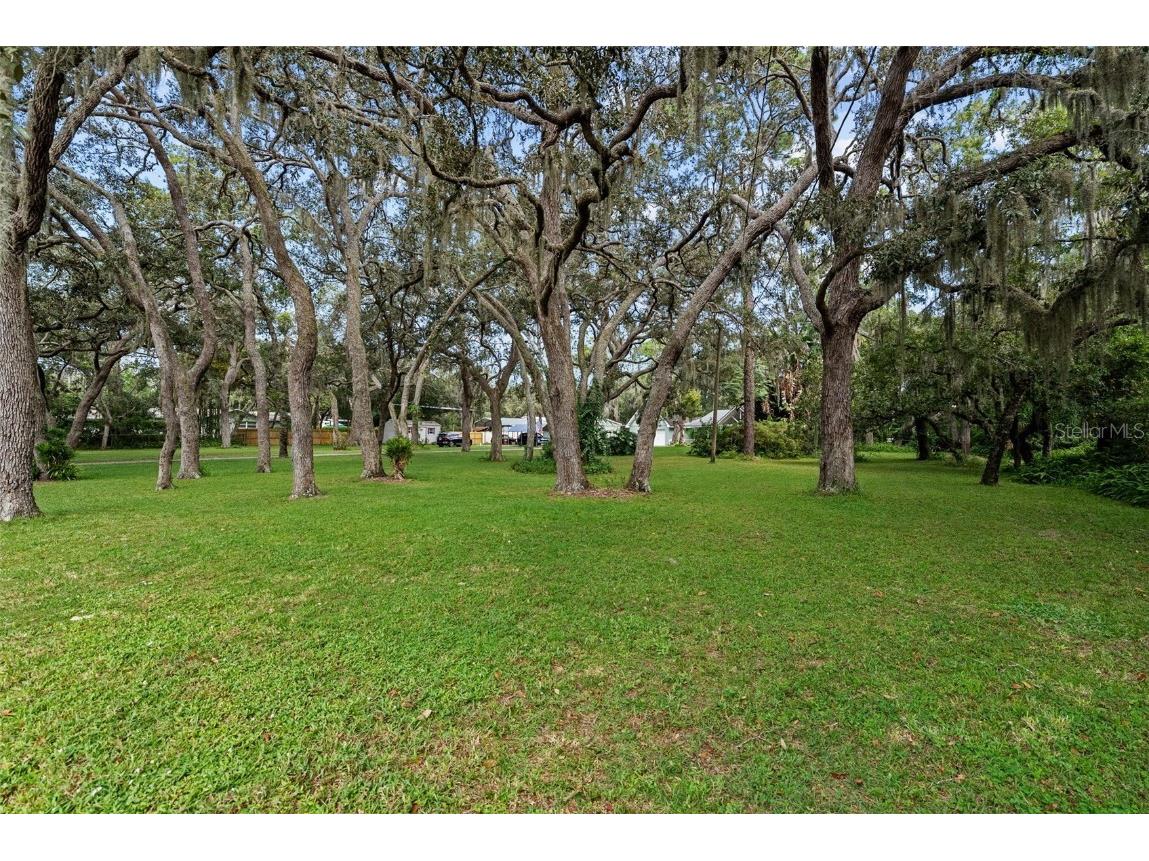 11207 Pinto Drive Hudson FL 34669 TB8432933 image40