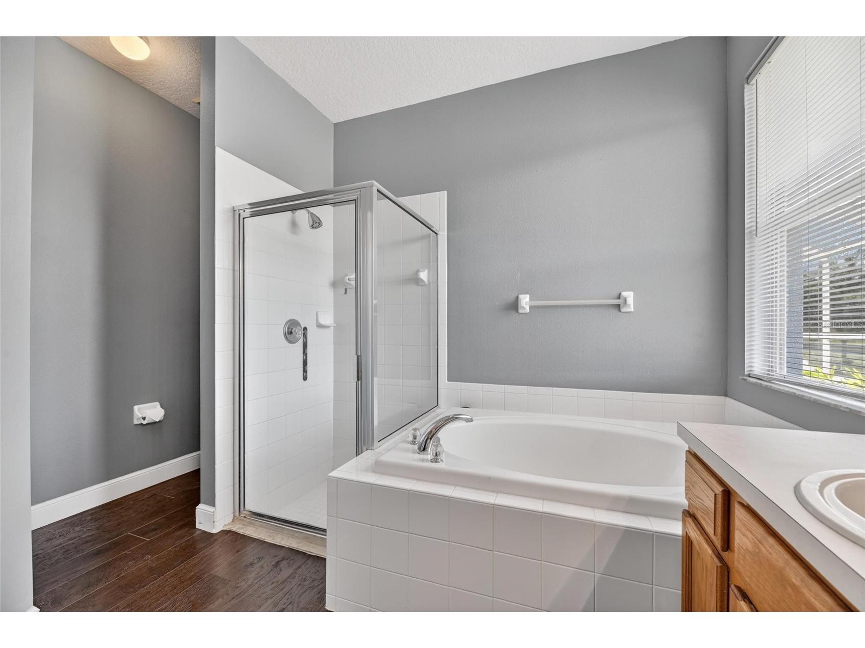 11207 Village Brook Drive Riverview FL 33579 TB8509309 image27