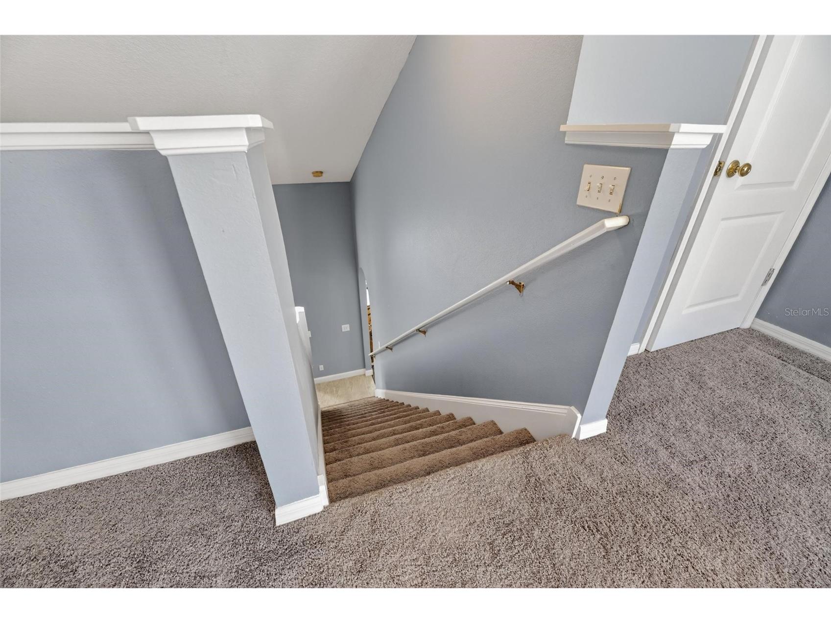 11207 Village Brook Drive Riverview FL 33579 TB8509309 image28